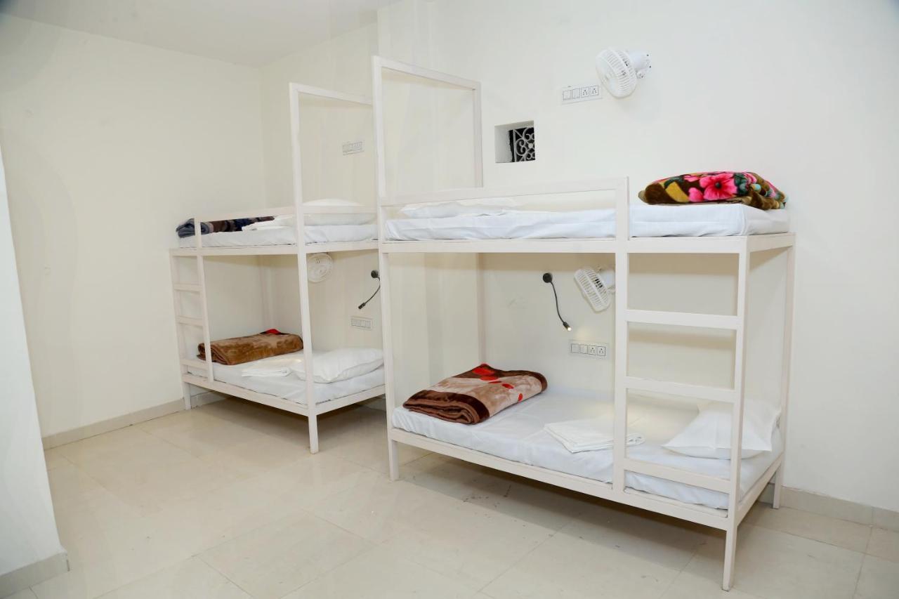 The Charlie'S Hostel New Delhi Ngoại thất bức ảnh