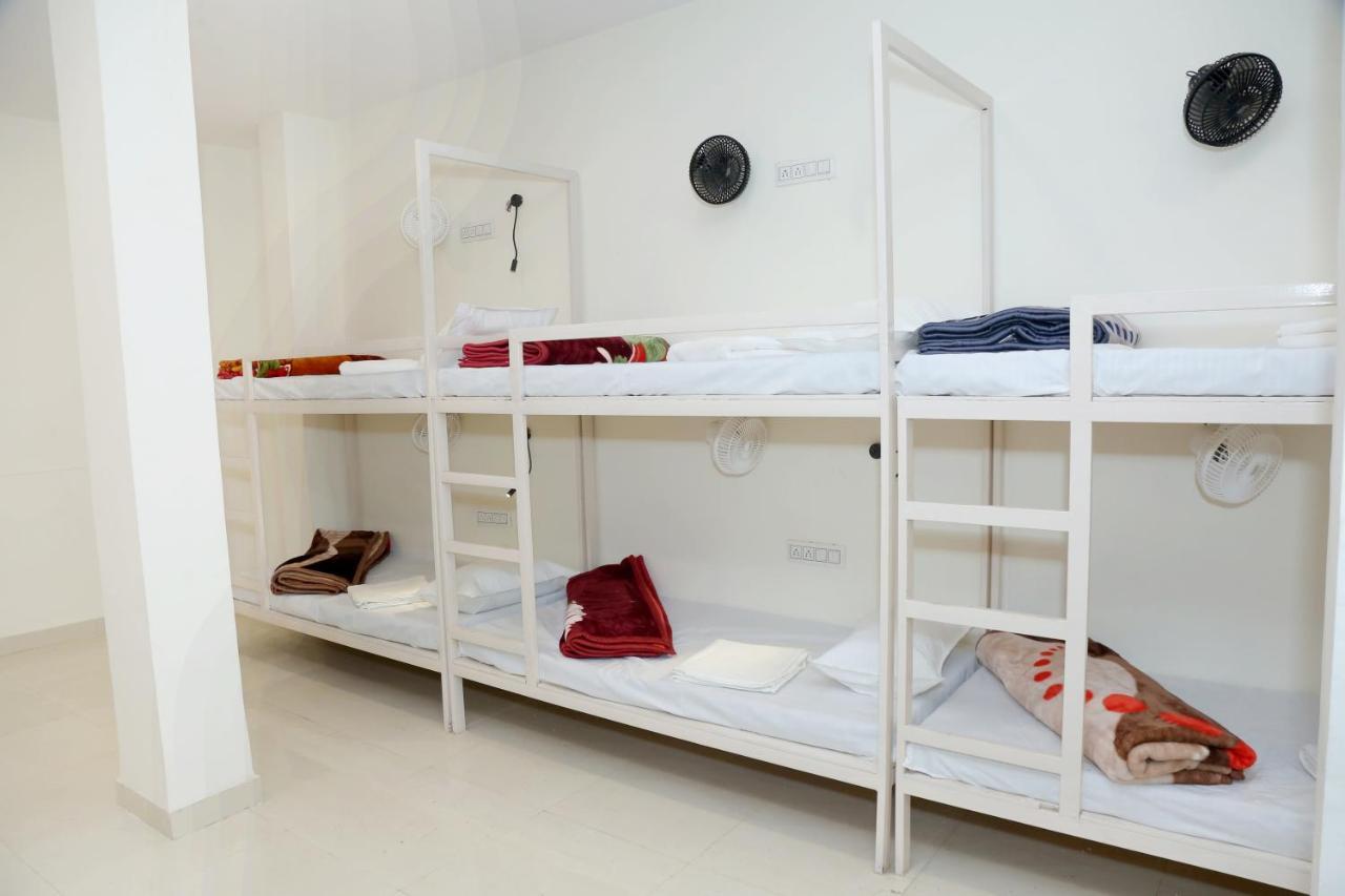 The Charlie'S Hostel New Delhi Ngoại thất bức ảnh