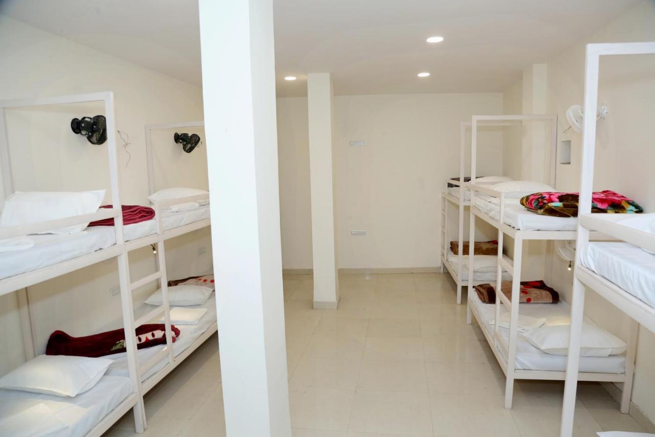 The Charlie'S Hostel New Delhi Ngoại thất bức ảnh