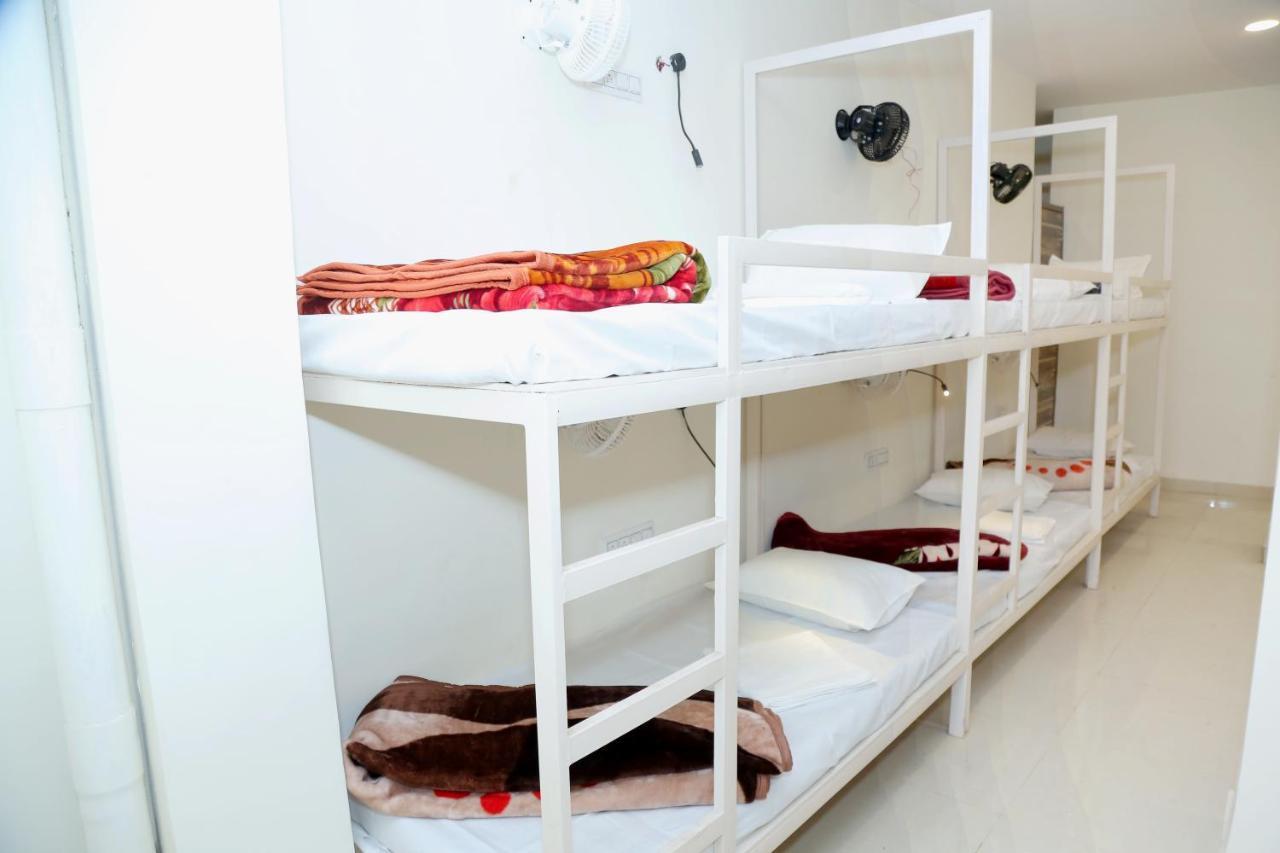 The Charlie'S Hostel New Delhi Ngoại thất bức ảnh